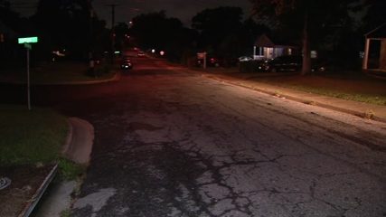 Dog Killed By Delivery Driver On Emerson Street In Hyattsville