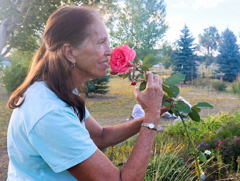 Doney Park Garden Offers Free Flower Bouquets And Community Fellowship