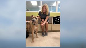 Durham Community Adopts Rescued Dog Found In Dumpster Named Kingston