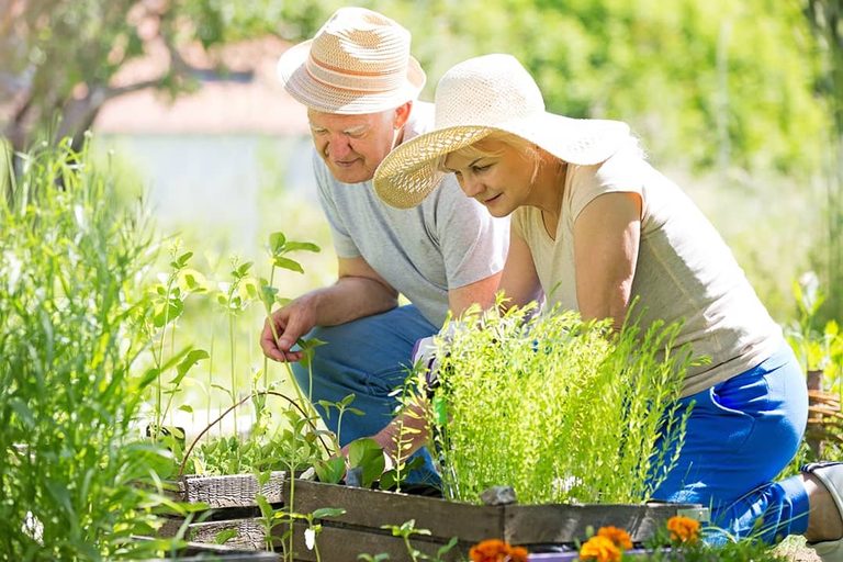Eight Common Preventable Causes Of Er Visits For Seniors