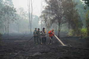 El Nino Heat Surge Could Add Up To 451 000 Deaths Worldwide Study Warns