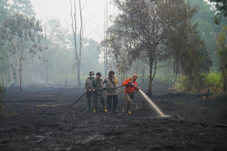 El Nino Heat Surge Could Add Up To 451 000 Deaths Worldwide Study Warns