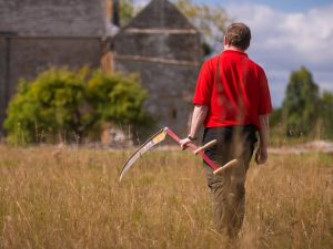 English Heritage Revives Ancient Scything At Muchelney Abbey To Aid Rare Bumbleb