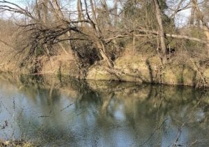 Epa Approves 10 Year Rowlett Creek Water Quality Plan For Plano