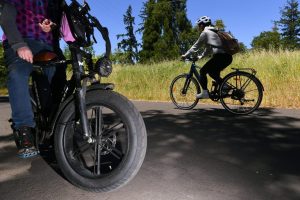 Eugene Must Tighten E Bike Rules To Protect Walkers On River Path