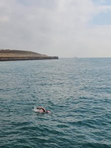 Eugene Resident Robin Mayall Conquers English Channel Swim Despite Jellyfish And
