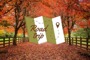 Explore Alabama S Most Charming Town Squares This Fall