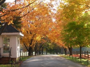 Explore Garrison Forest School S Fall Campus Visits For Families In Baltimore