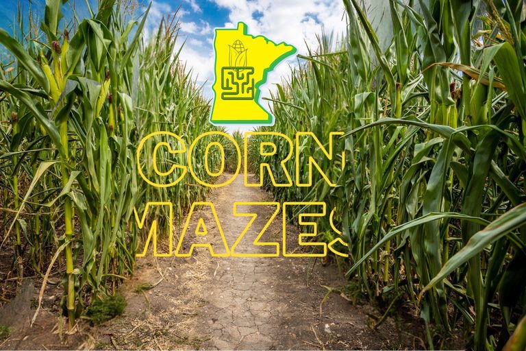 Explore Minnesota S Top Eight Corn Mazes This Fall