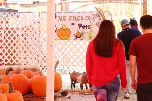 Fall Date Night Ideas For Couples In Boise And The Treasure Valley