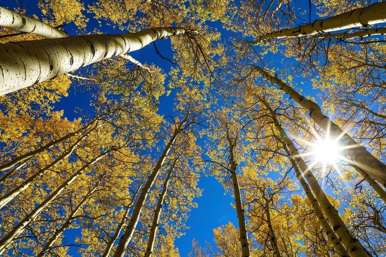 Fall Equinox Arrives Tuesday Bringing Equal Day And Night