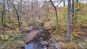 Fall Equinox Arrives Tuesday Sept 22 Day And Night Equal Length