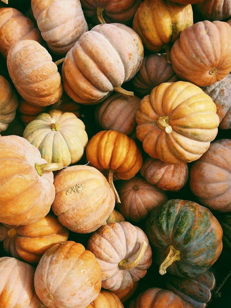 Fall Festivals And Fairs Light Up Dekalb County This Season