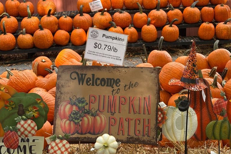 Fall Festivals And Family Fun Across The Dc Metro Area This Weekend