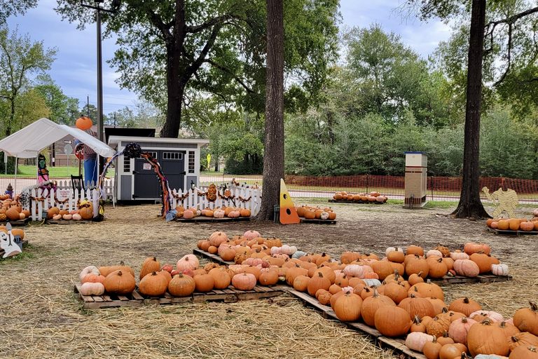 Fall Festivals And Halloween Fun Brighten Spring Klein This October