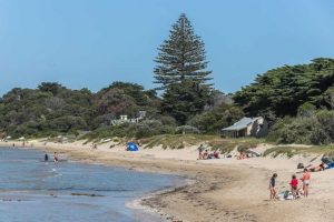 Fatal Shark Attack Shocks Beachgoers At Sorrento Beach Perth