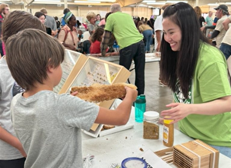 Fayetteville S Insect Festival Returns With Free Cockroach Races And Educational
