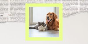 Fda Recalls Northwest Naturals Pet Food Over Salmonella And Listeria Concerns