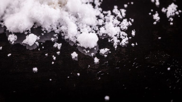Federal Task Force Indicts Two Illegal Immigrants In Major Meth And Fentanyl Bus