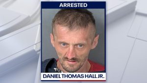 Felon Arrested After Pointing Gun At Firefighters At Hernando County Crash