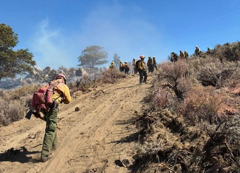 Firefighters Contain 15 Acre Vegetation Fire Near Milford Ca
