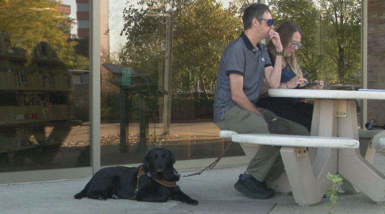 Flagstone Bar Grill Apologizes After Denying Service Animal To Blind Patron In G