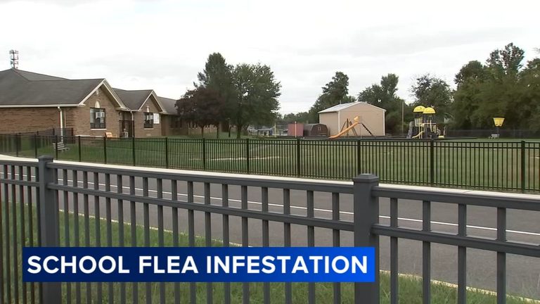 Flea Infestation Forces Aura Elementary In Elk Township To Shift To Remote Learn