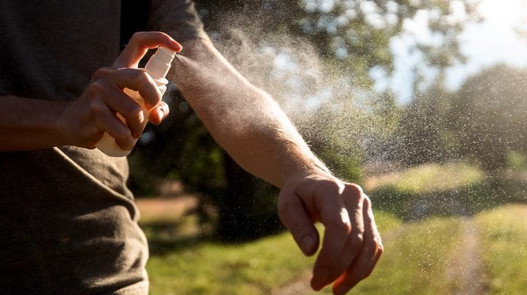 Florida Health Officials Warn Of Rising Dengue Fever Cases In Tampa Bay And Stat