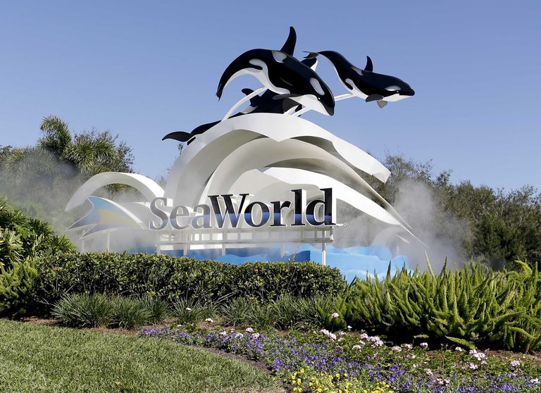 Florida Teachers Receive Free Seaworld Access For A Year
