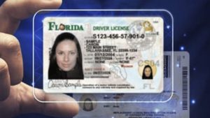 Florida Unveils New Driver S License Design Featuring Gator Orange And Space Shu