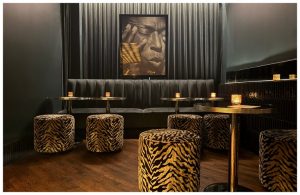 Former Bears Star Israel Idonije Reopens South Loop Spot As Martini Lounge