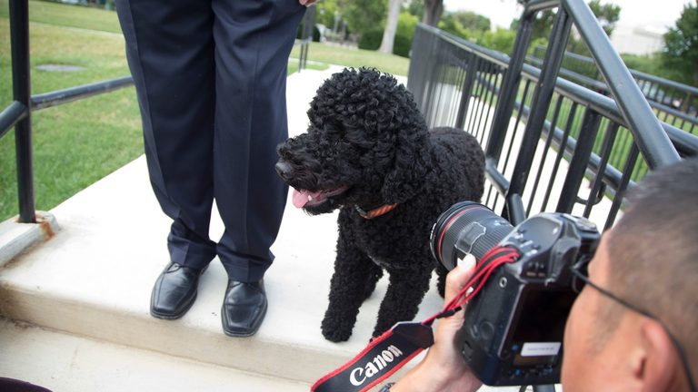 Former President Obama Mourns Loss Of Family Dog Sunny 13