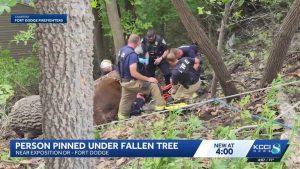 Fort Dodge Firefighters Rescue Person Pinned Under Tree On Exposition Drive