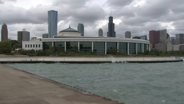 Fourth Beluga Whale Dies At Chicago S Shedd Aquarium Amid Questions Over Recent