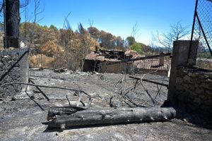 France Endures Hottest Summer On Record Since 1900 Sparking Widespread Wildfires