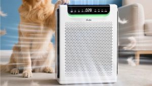 Freaire Home Air Purifier Drops To 90 Its Lowest Amazon Price