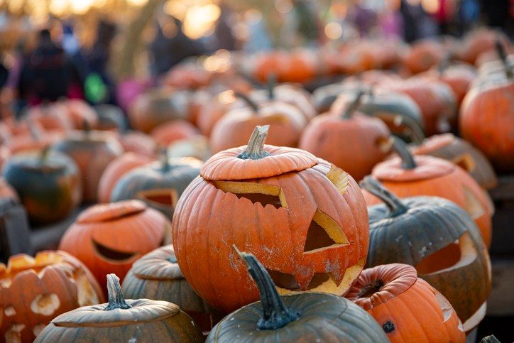Free And Low Cost Fall Festivals Near Indianapolis For September October 2026