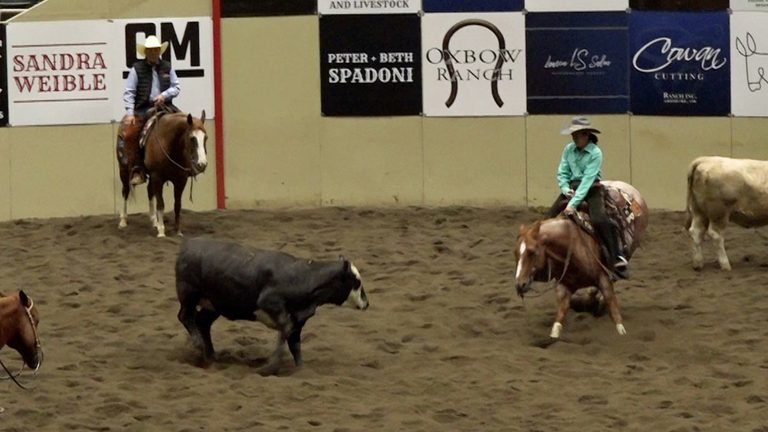 Free Horse Cutting Competition Draws Crowds To Deschutes County Fairgrounds