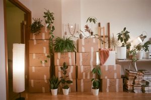 Free Moving Boxes Available At Lubbock Stores And Online Groups