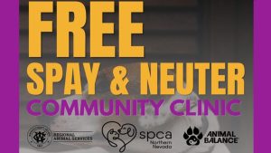 Free Spay And Neuter Clinic Opens Oct 16 18 For Qualifying Reno Pet Owners