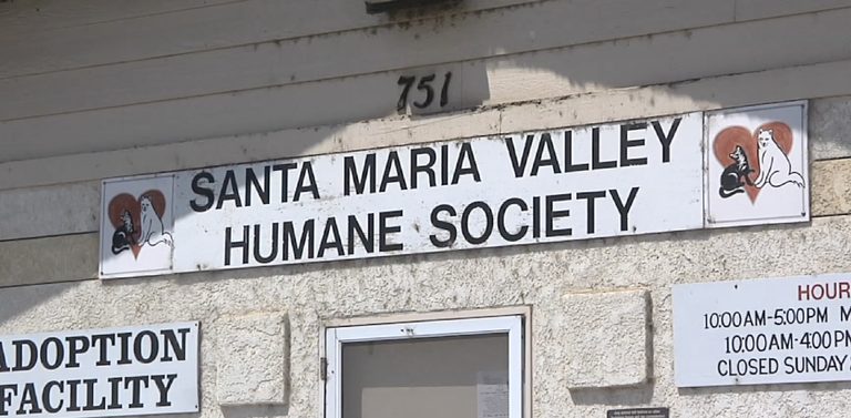 Free Spay And Neuter Services Launch For Pets In Northern Santa Barbara County