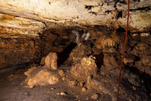Friesenhahn Ice Age Cave In San Antonio Subdivision Reveals Rare Fossils