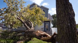 Gary Indiana Volunteers Rally As Power Outage From August Derecho Persists