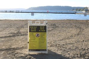 Gene Coulon Beach Closed Again After Bacterial Levels Exceed Safety Limits
