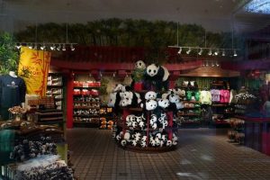 Giant Pandas Ping Ping And Fu Shuang Arrive At Zoo Atlanta For 10 Year Stay