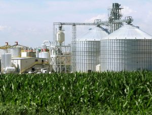 Global Biofuel Production Set To Rise Nearly 70 By 2030 Amid Gulf Energy Crisis