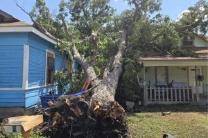 Gov Abbott Asks Sba For Disaster Aid For Bexar County After August Windstorm