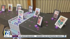 Greenville Colleges And Hospital Host Light The Night For Hope Suicide Preventio