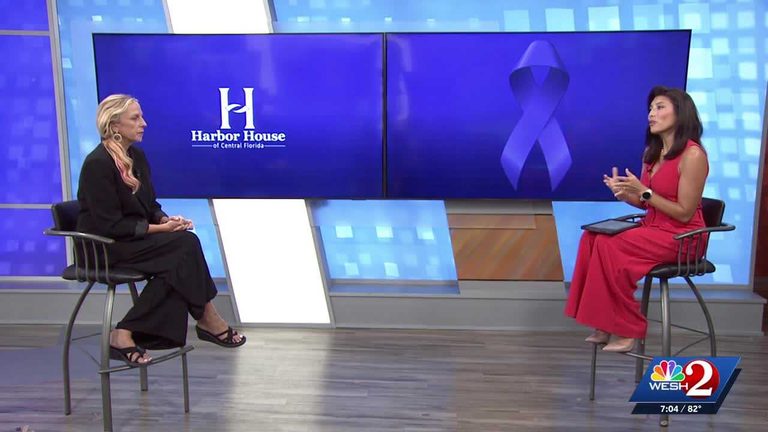 Harbor House Of Central Florida Ceo Highlights Domestic Violence Warning Signs A