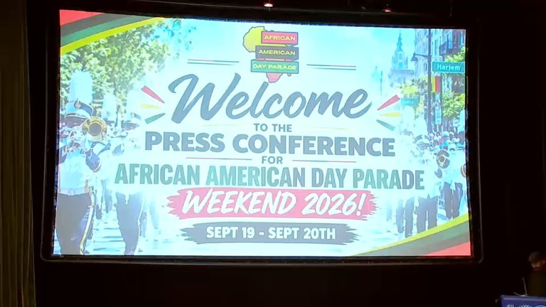 Harlem S African American Day Parade Returns For 57Th Anniversary With Business